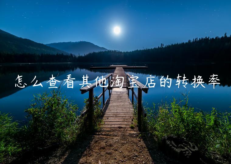 怎么查看其他淘寶店的轉(zhuǎn)換率